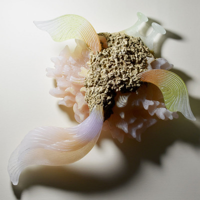 1907-02_takahashi_m_01