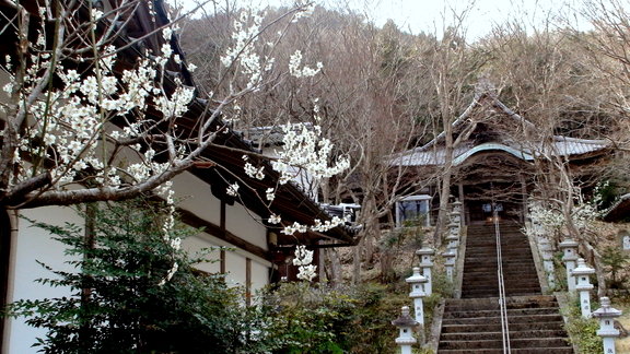DSC01911