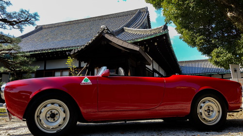 ALFA ROMEO GIULIETTA SPIDER 1961