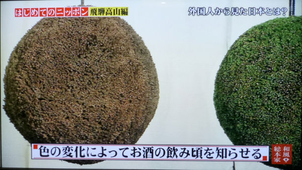和風総本家 酒林 一病息災 日本酒が旨い