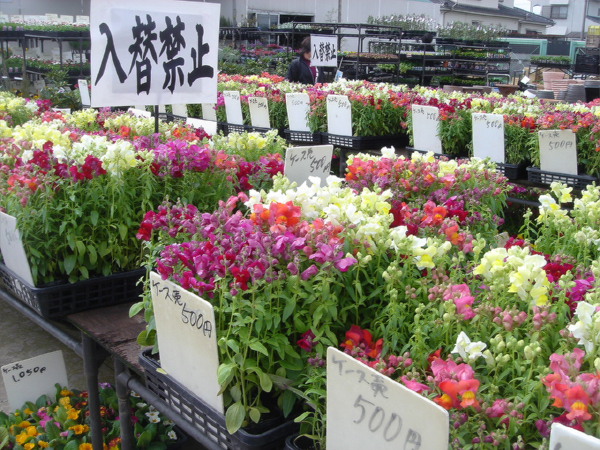 三貴フラワーセンター 一病息災 日本酒が旨い