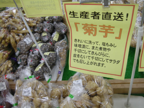 菊芋 一病息災 日本酒が旨い 菊芋 一病息災 日本酒が旨い