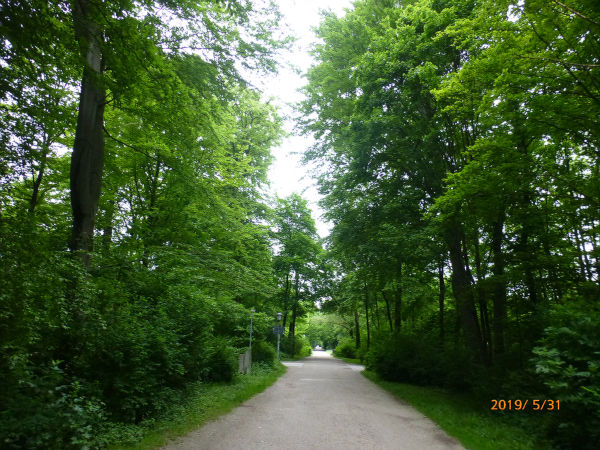 ドイツ旅行 アウクスブルク観光 一病息災 日本酒が旨い