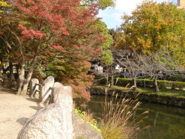 岡崎公園の紅葉 一病息災 日本酒が旨い