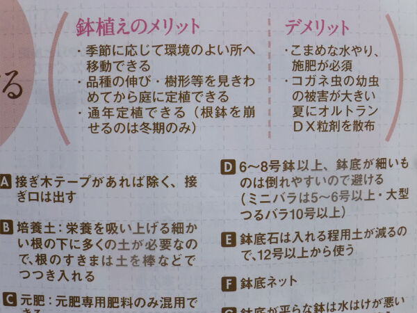 コガネムシ幼虫 退治 一病息災 日本酒が旨い