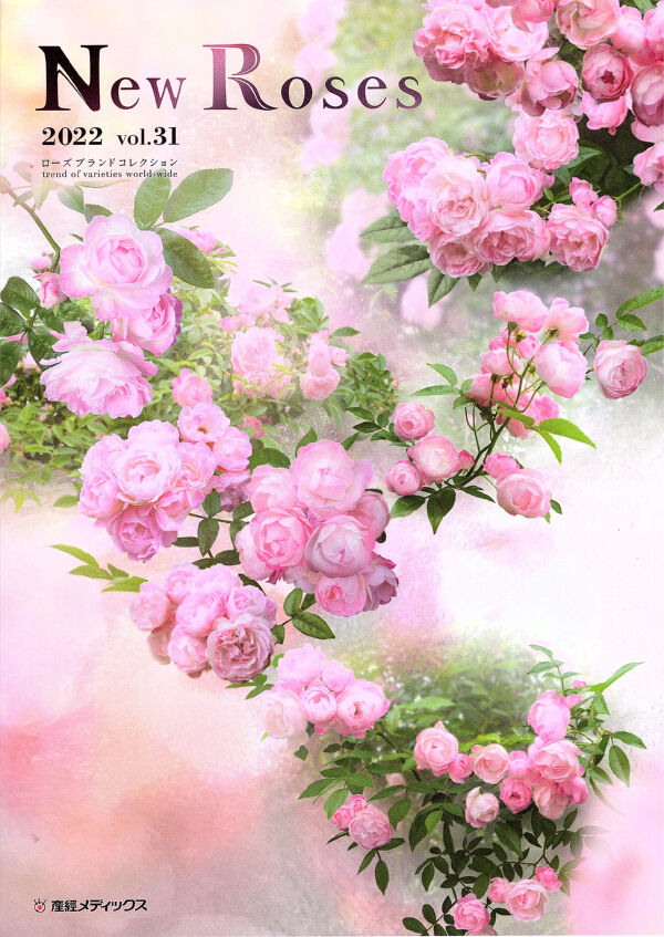 New Roses 2022 vol.31 : 八十翁のつぶやき New Roses 2022 vol.31 : 八十翁のつぶやき
