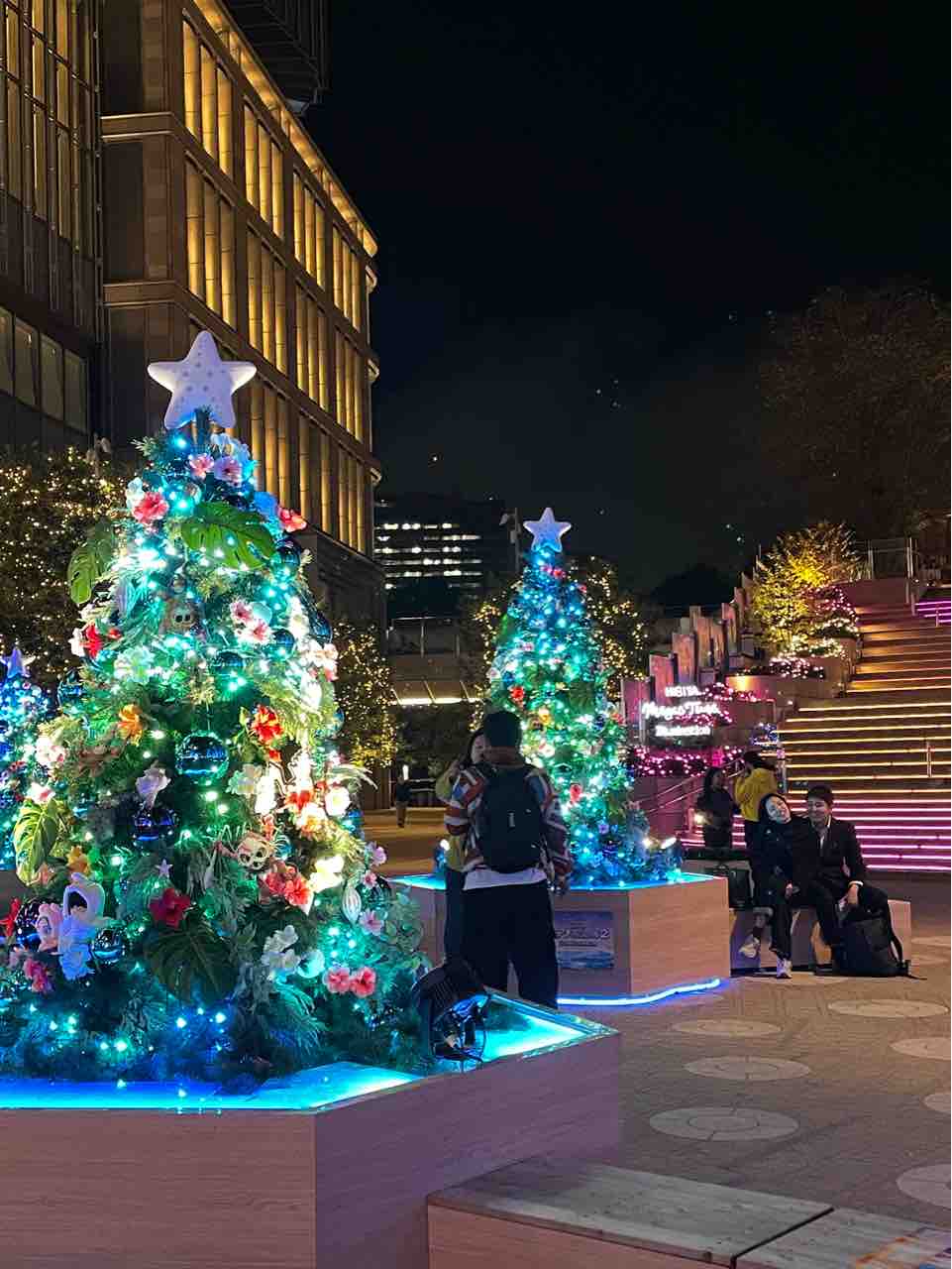 全日本送料無料 X'mas Beautiful are You : 2024@Ginza illumination クリスマス