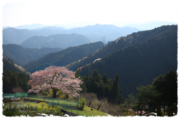IMG_7243 のコピー