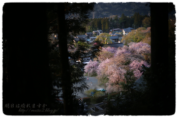 IMG_7387 のコピー