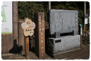 IMG_7190 のコピー