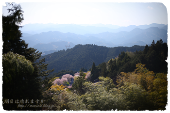 IMG_7187 のコピー
