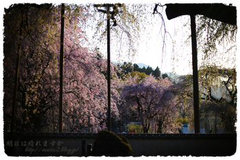 IMG_7332 のコピー