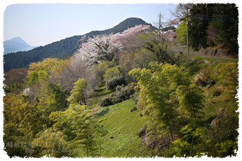 IMG_7186 のコピー