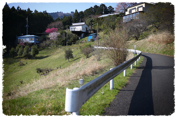 IMG_7249 のコピー