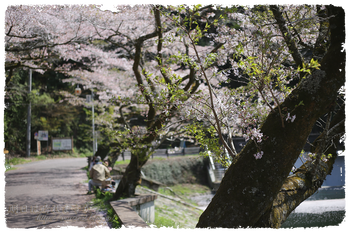 IMG_7076 のコピー