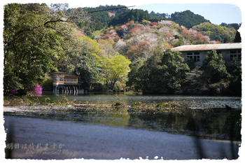IMG_7149 のコピー