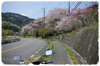 IMG_6982 のコピー