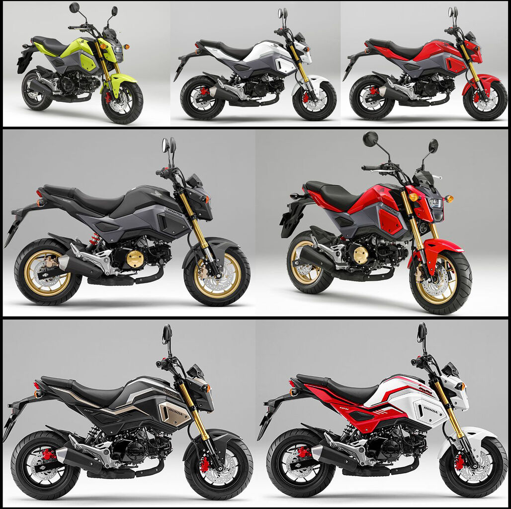 HONDAグロムの誕生日！ 各年式をあなたは見分けられる？ : 明日は晴れ 