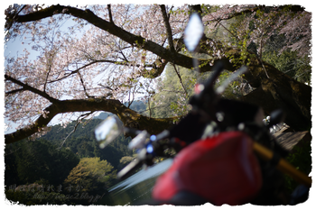 IMG_7053 のコピー