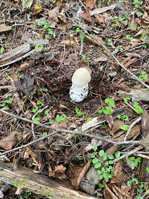 2025秋のキャンプ2日目 034