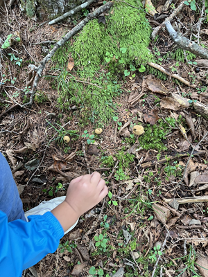 2025秋のキャンプ2日目 040