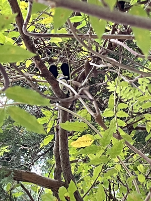 2025秋のキャンプ1日目 014