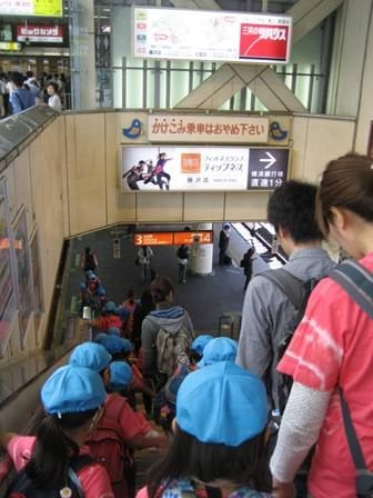 野外活動 キャンプ 横浜ymca