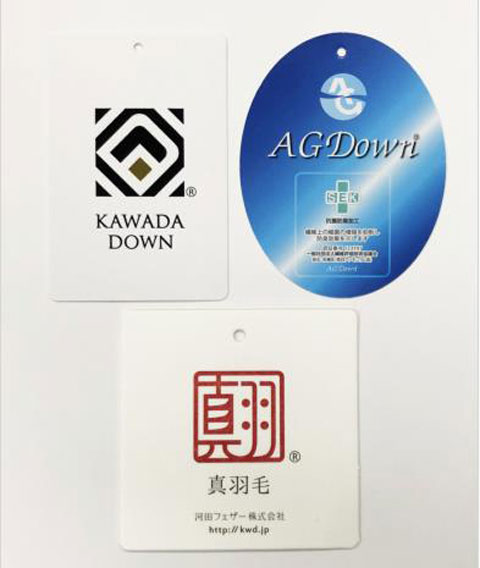 kawada-down_2