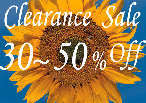 Summer_ClearanceSale_3-5