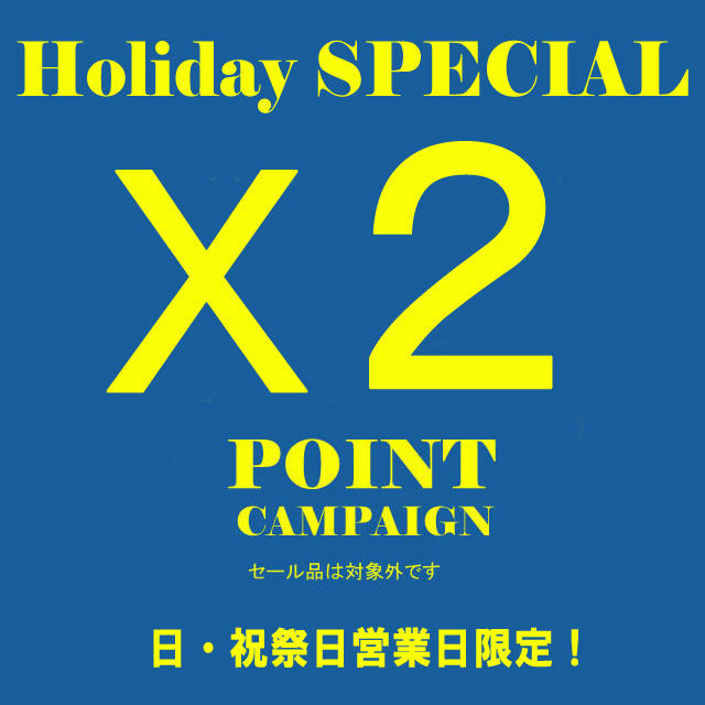 holiday Point x2 Capmpaign