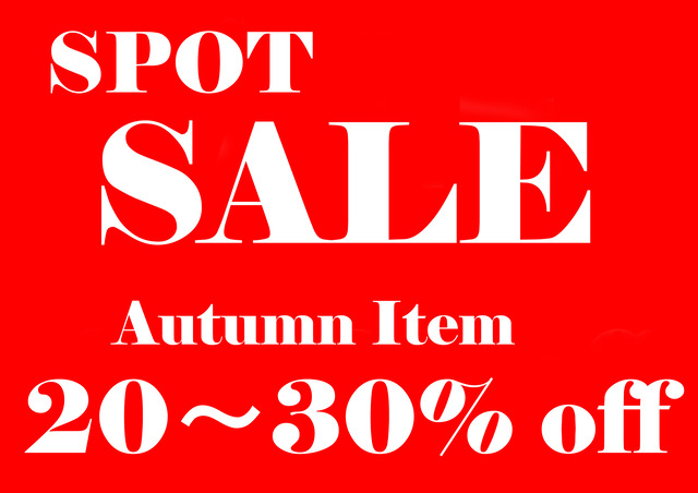 SPOT-SALE-autumn(20-30)