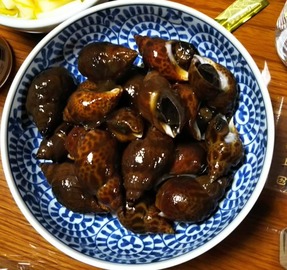 500x471バイガイ