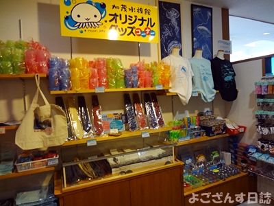 クラゲラーメン クラゲアイス 加茂水族館 よござんす日誌 R リターンズ クラゲラーメン クラゲアイス 加茂水族館 よござんす日誌 R リターンズ