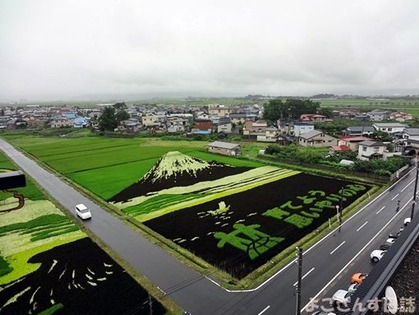 DSC00003