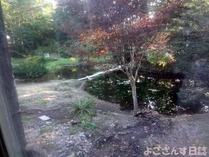 DSC09352_400