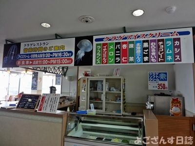 クラゲラーメン クラゲアイス 加茂水族館 よござんす日誌 R リターンズ クラゲラーメン クラゲアイス 加茂水族館 よござんす日誌 R リターンズ