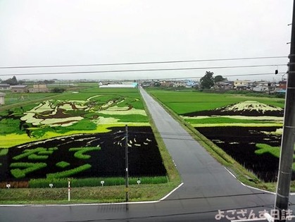 DSC00014