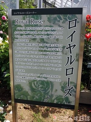 とちぎ花センター ローズフェスタ その2 よござんす日誌 R ﾘﾀｰﾝｽﾞ