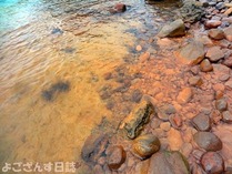 DSC01631