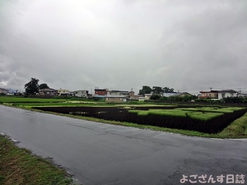 DSC00054
