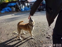 DSC09337_400