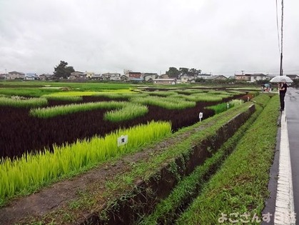 DSC00032