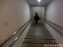 DSC00507