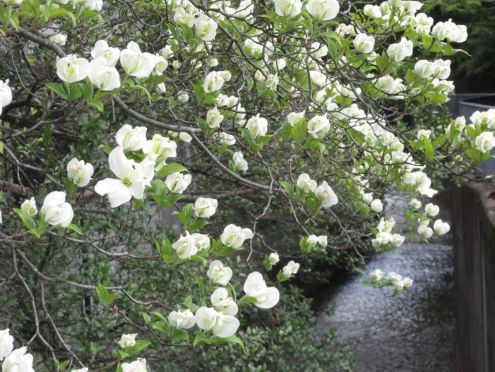  クリックで大きくなります