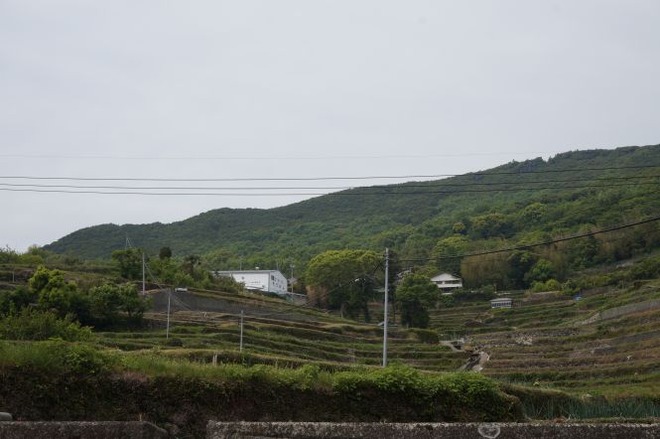 01千枚田（１）mid