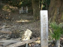 イメージ 6