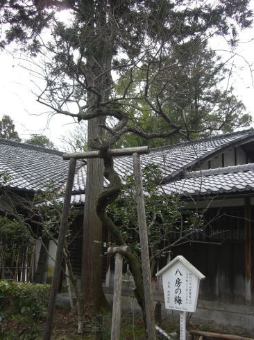  クリックで大きくなります