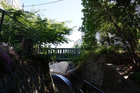  クリックで大きくなります