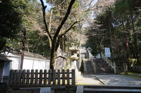 クリックで大きくなります