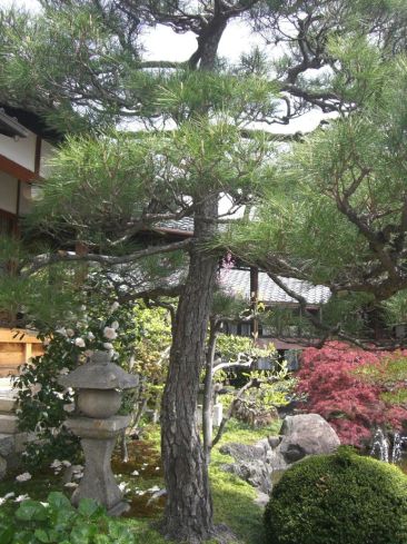 クリックで大きくなります